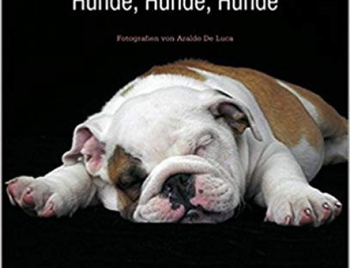 Hunde, Hunde, Hunde