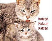 Katzen Katzen Katzen Buch