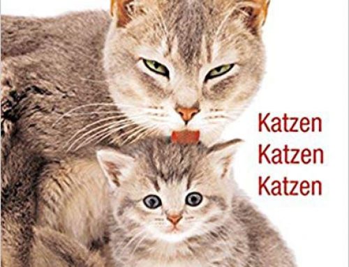 Katzen, Katzen, Katzen